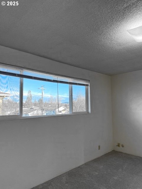 carpeted spare room featuring a textured ceiling