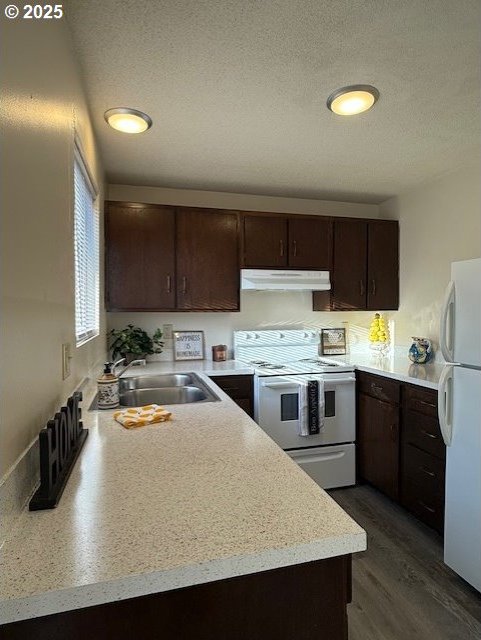 kitchen with light countertops, a sink, dark brown cabinets, white appliances, and under cabinet range hood