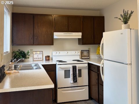 kitchen featuring dark brown cabinets, white appliances, a sink, and under cabinet range hood