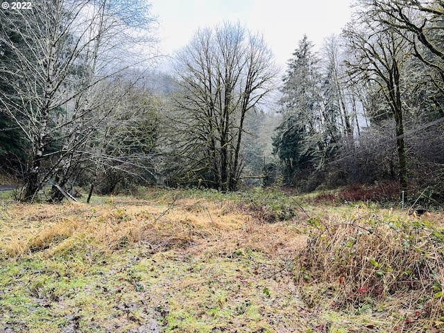 21550 E Beaver Creek Rd, Cloverdale OR, 97112 land for sale