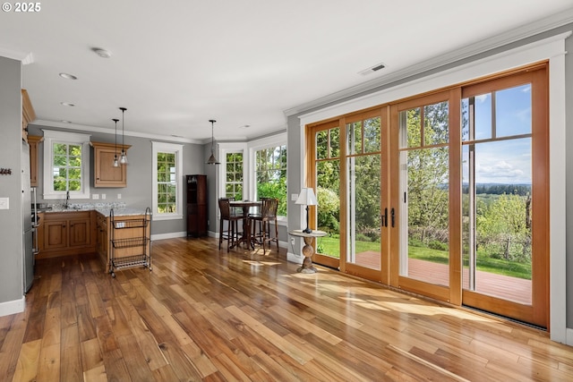 entryway with crown molding, light hardwood / wood-style flooring, and sink