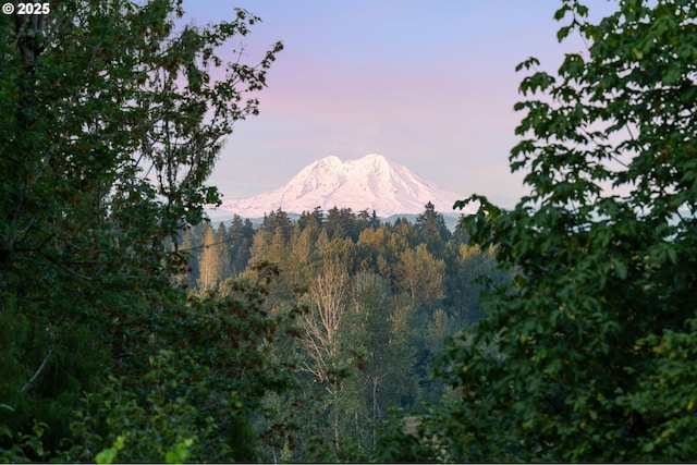 view of mountain feature