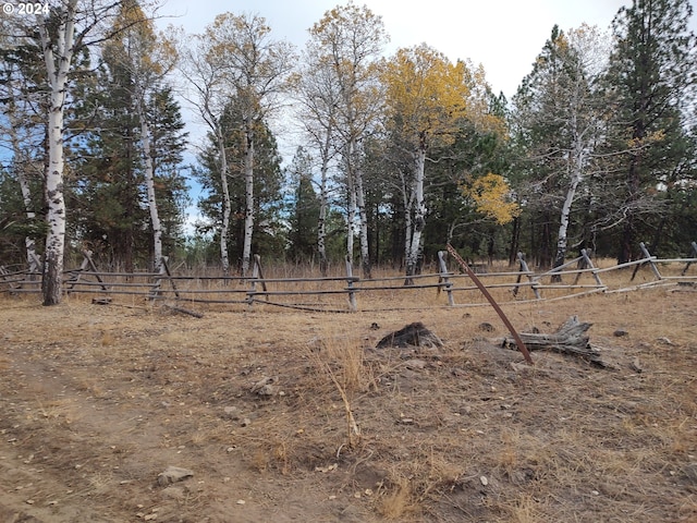 60327 Lower Divide Rd, Joseph, OR 97846 - view of nature