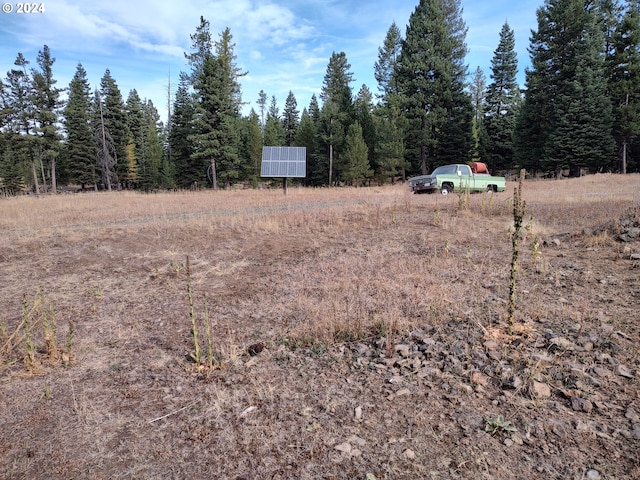 60327 Lower Divide Rd, Joseph, OR 97846 - view of yard with a forest view