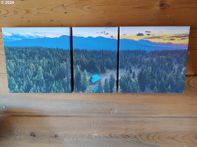 60327 Lower Divide Rd, Joseph, OR 97846 - detailed view of a forest and a mountain backdrop