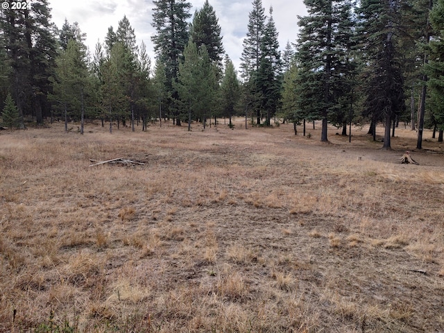 60327 Lower Divide Rd, Joseph, OR 97846 - view of undeveloped land