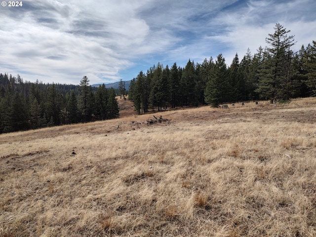 60327 Lower Divide Rd, Joseph, OR 97846 - view of woods featuring a view of rural / pastoral area and a mountain view