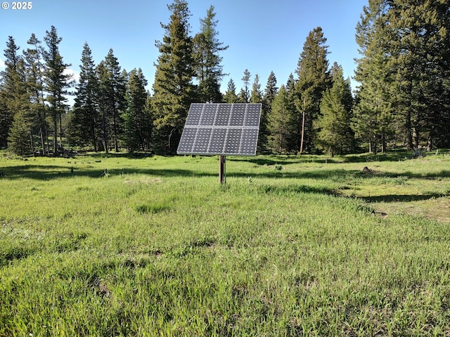 60327 Lower Divide Rd, Joseph, OR 97846 - view of yard