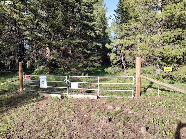 60327 Lower Divide Rd, Joseph, OR 97846 - view of yard with a gate