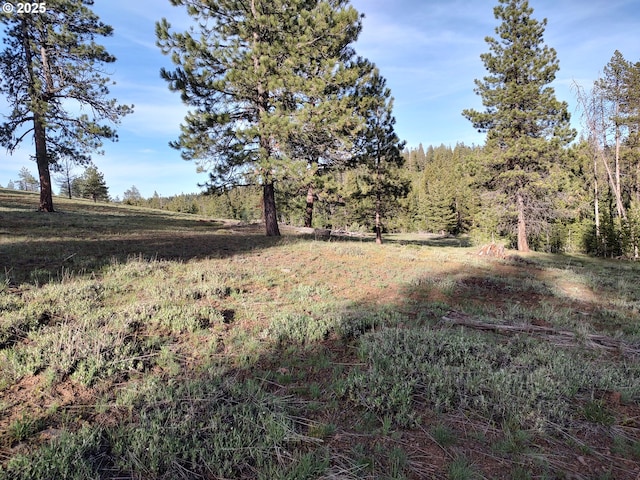 60327 Lower Divide Rd, Joseph, OR 97846 - view of woods featuring a rural view