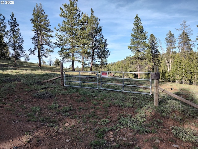 60327 Lower Divide Rd, Joseph, OR 97846 - view of yard featuring a gate and a rural view