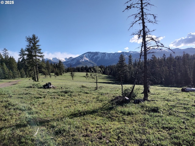 60327 Lower Divide Rd, Joseph, OR 97846 - view of mountain backdrop with a forest and rural landscape