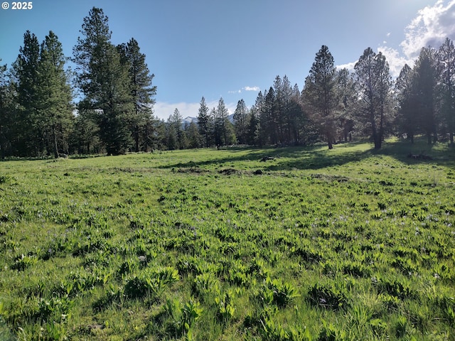 60327 Lower Divide Rd, Joseph, OR 97846 - view of green lawn with a wooded view and a rural view