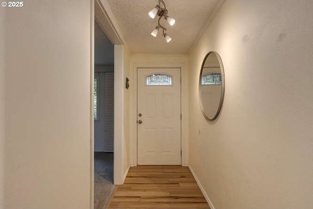 2040 Spruce Ave, Woodland, WA 98674 - entryway with a textured ceiling, light wood-style floors, rail lighting, baseboards, and ornamental molding