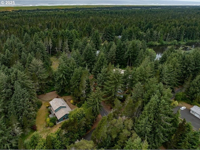 1630 SW 14th St, Warrenton, OR 97146 - aerial view of property's location featuring a forest