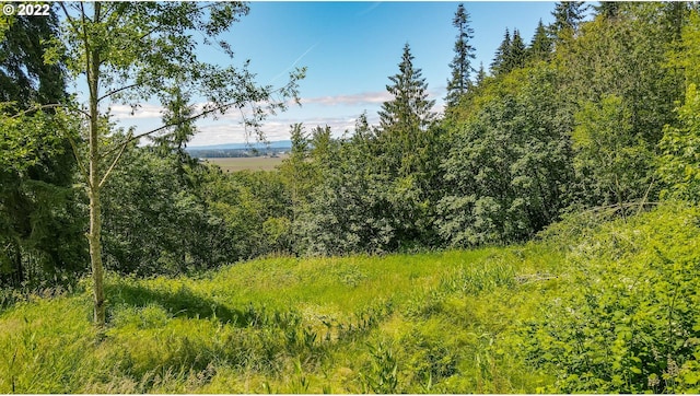 0 Columbia View Dr, Woodland WA, 98674 land for sale