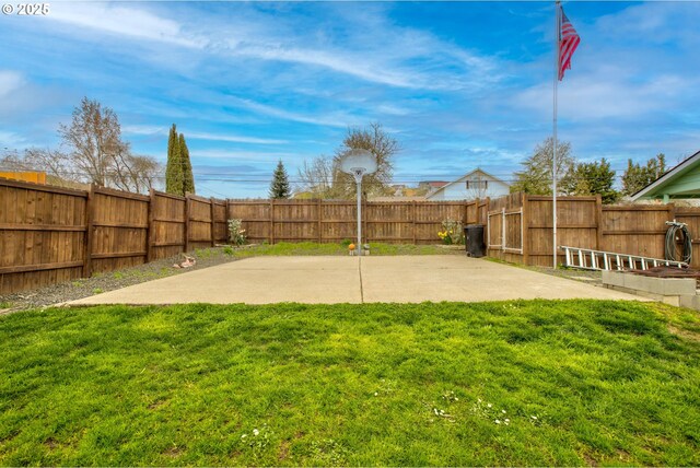 view of yard featuring a fenced backyard and a patio area