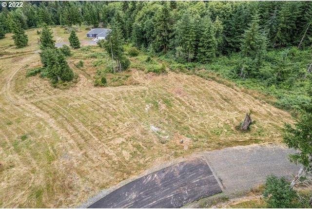 3 Bison Run, Longview WA, 98632 land for sale