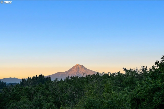 view of mountain feature