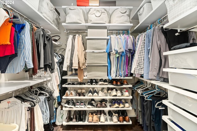 1125 NW 9th Ave Unit 419, Portland, OR 97209 - view of spacious closet