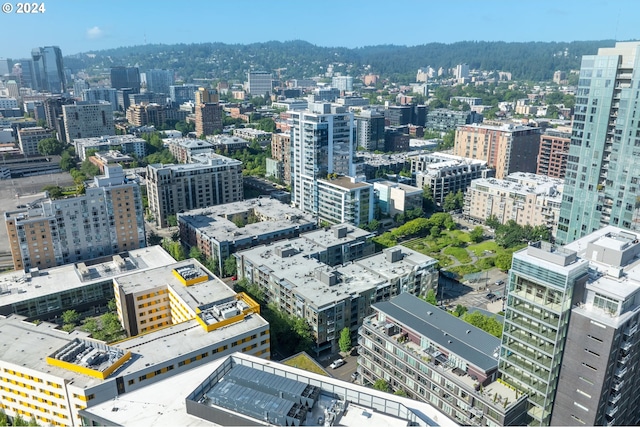 1125 NW 9th Ave Unit 419, Portland, OR 97209 - city view