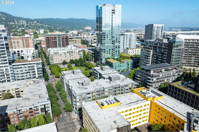 1125 NW 9th Ave Unit 419, Portland, OR 97209 - city view