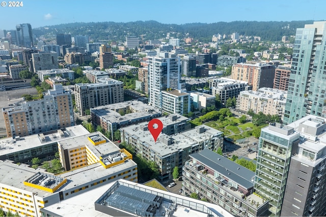 1125 NW 9th Ave Unit 419, Portland, OR 97209 - view of city