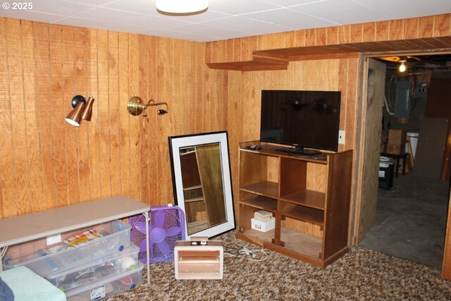 carpeted living area with wooden walls