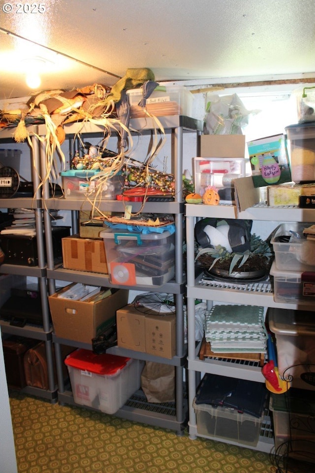 view of storage room