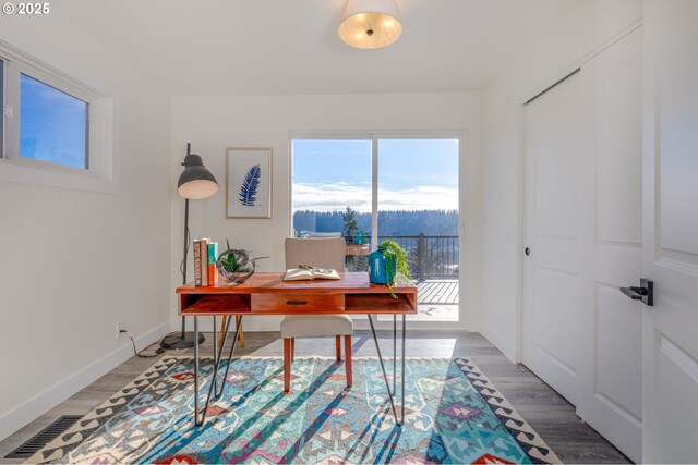 office space featuring wood-type flooring