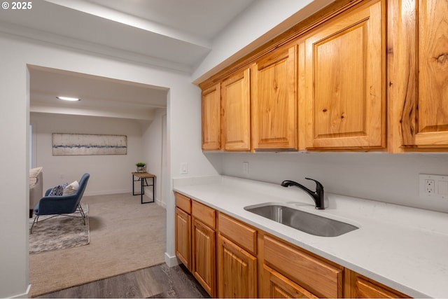 kitchen with sink and dark hardwood / wood-style flooring