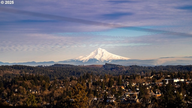 view of mountain feature