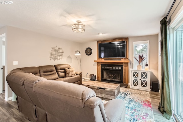 living room featuring a large fireplace and wood finished floors