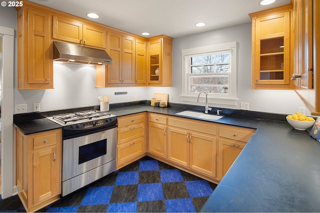 kitchen featuring stainless steel range with gas cooktop and sink