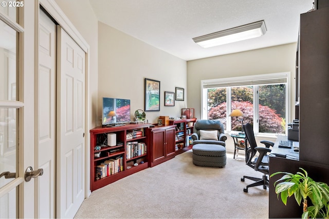 11315 NW Reeves St, Portland, OR 97229 - home office with carpet floors