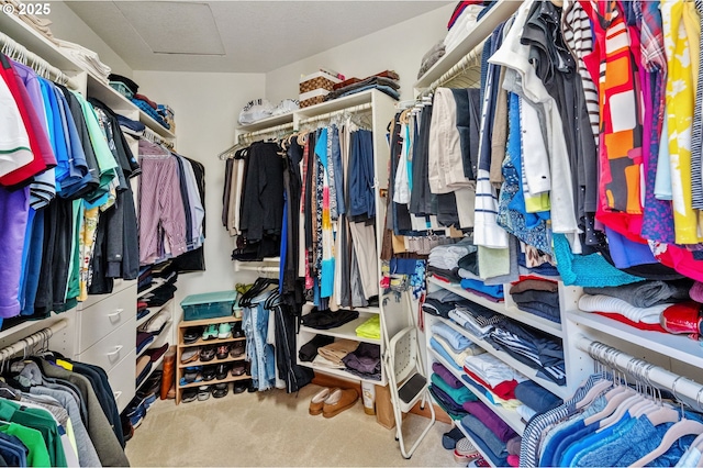 11315 NW Reeves St, Portland, OR 97229 - spacious closet featuring carpet floors and attic access