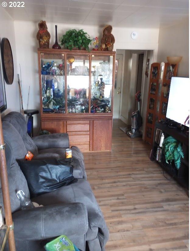 living room featuring hardwood / wood-style floors