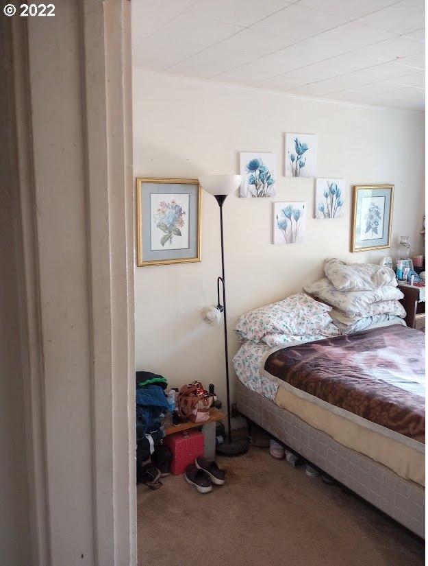 bedroom featuring carpet floors