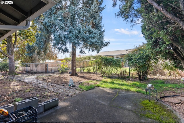 view of yard featuring a patio area and a fenced backyard