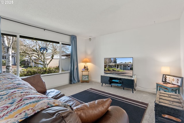 living room featuring carpet, baseboards, and a textured ceiling