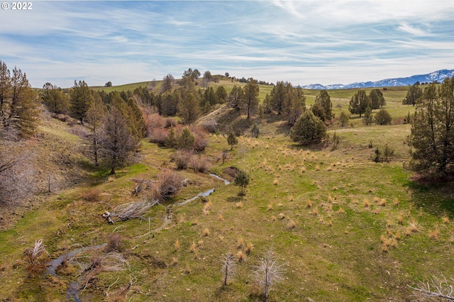 Listing photo 2 for 0 Davis Creek Rd, John Day OR 97845