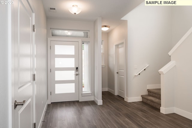 entryway featuring dark hardwood / wood-style flooring and a wealth of natural light