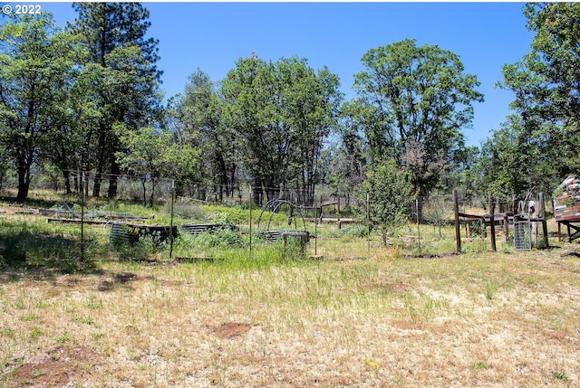 view of local wilderness