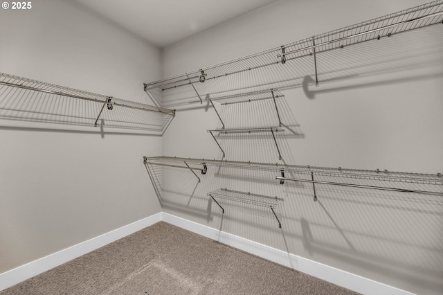 5719 N 87th Ave, Camas, WA 98607 - walk in closet with carpet floors