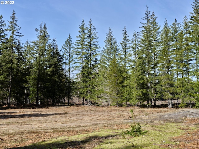 6 Loowit Ln, Cougar WA, 98616 land for sale