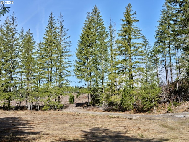 Listing photo 3 for 6 Loowit Ln, Cougar WA 98616