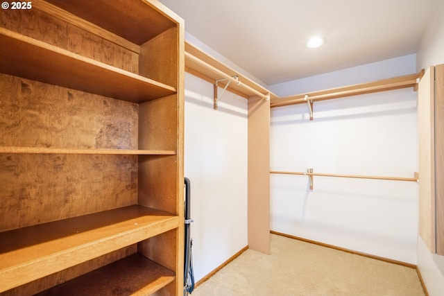 spacious closet featuring light carpet