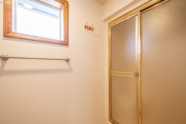 bathroom featuring a shower with shower door