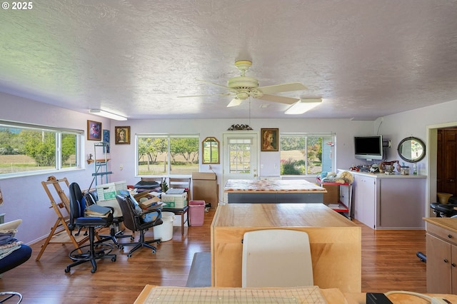 41108/41100 Oupor Dr, Scio, OR 97374 - living area with wood finished floors, ceiling fan, and a textured ceiling