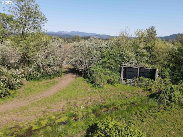 41108/41100 Oupor Dr, Scio, OR 97374 - bird's eye view of a mountain backdrop